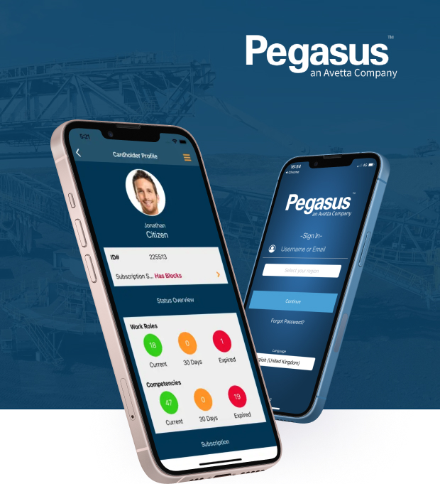 Pegasus - Partnering towards a global workforce safety solution